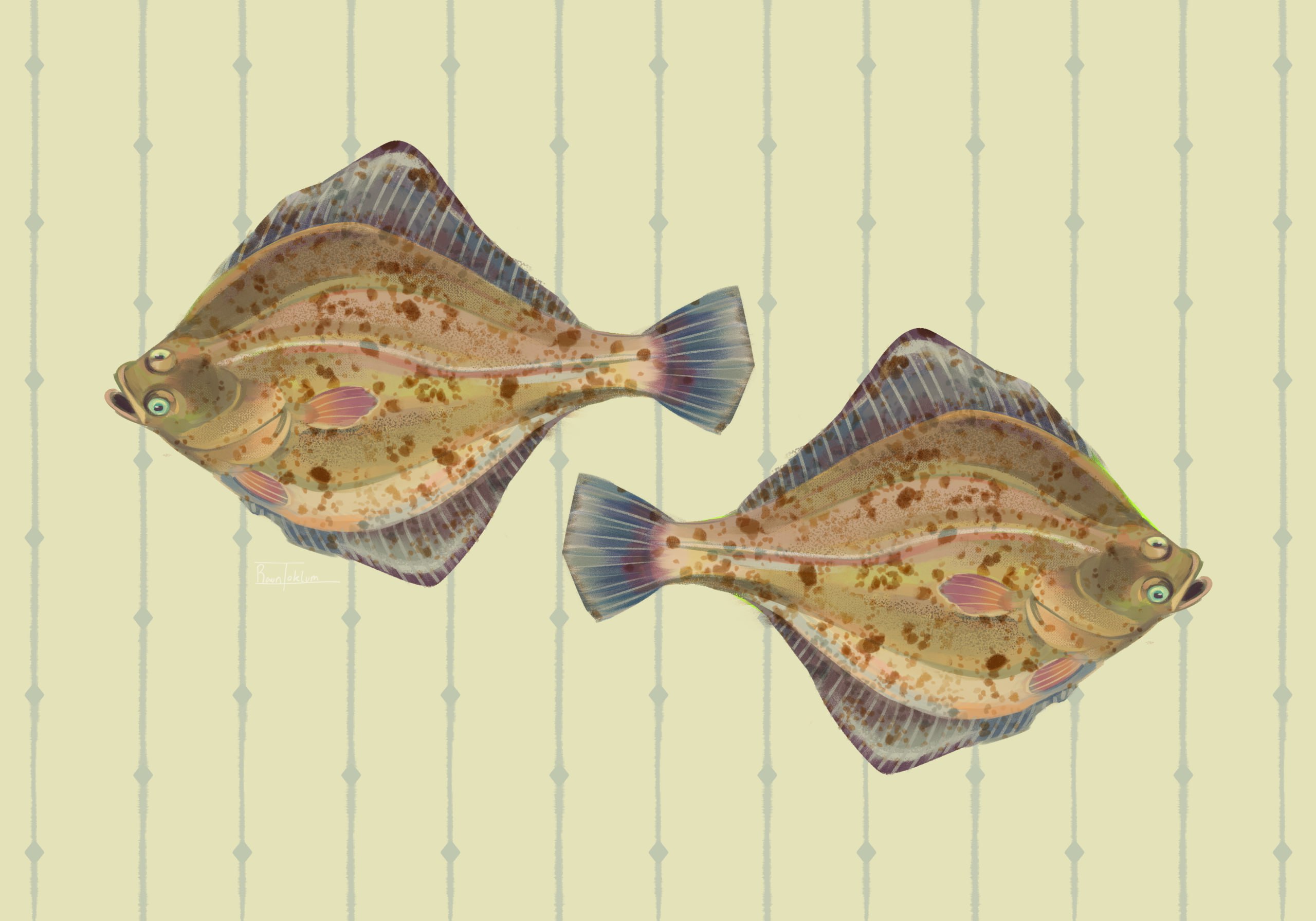 Fish 2