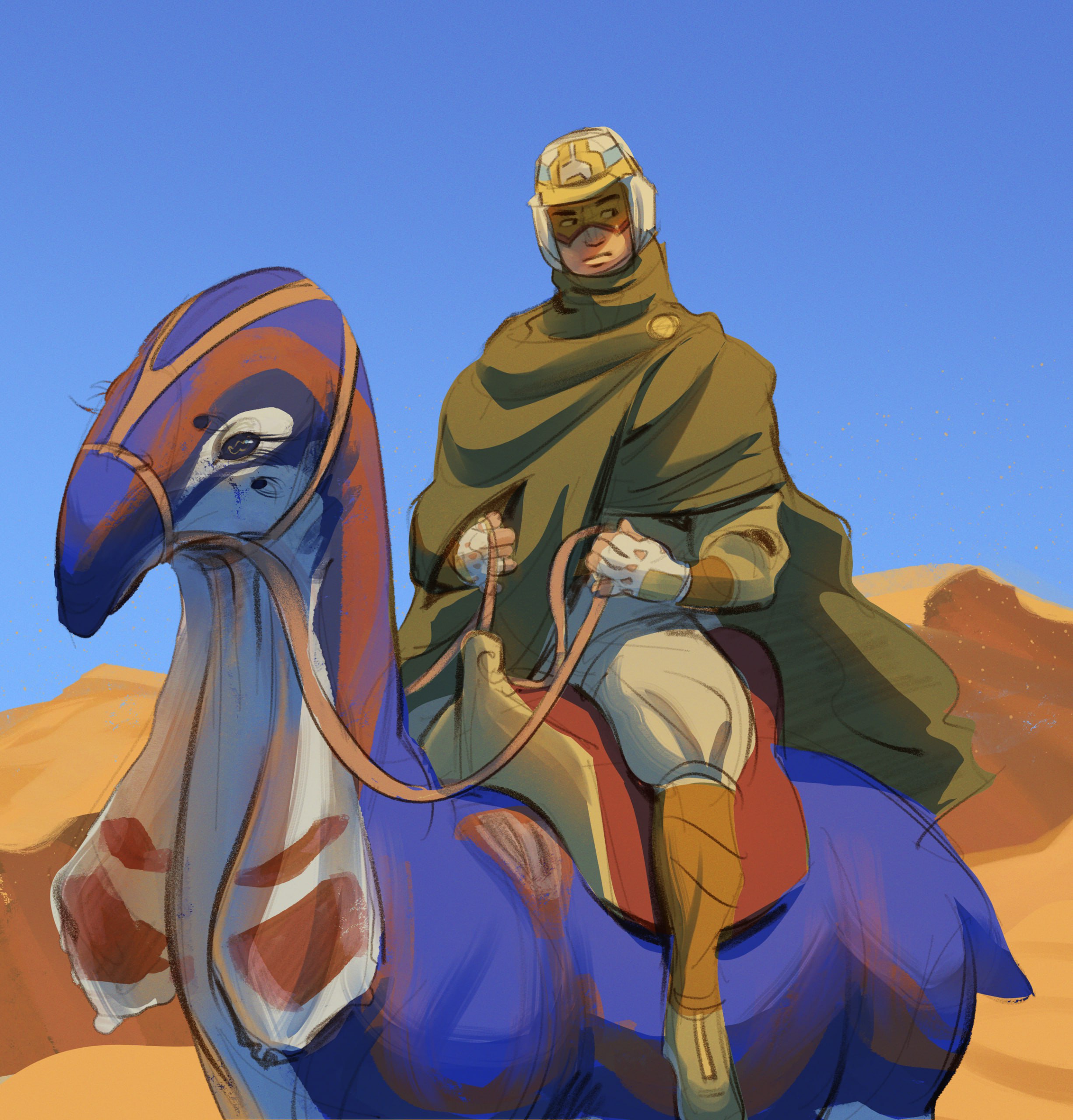 Rider