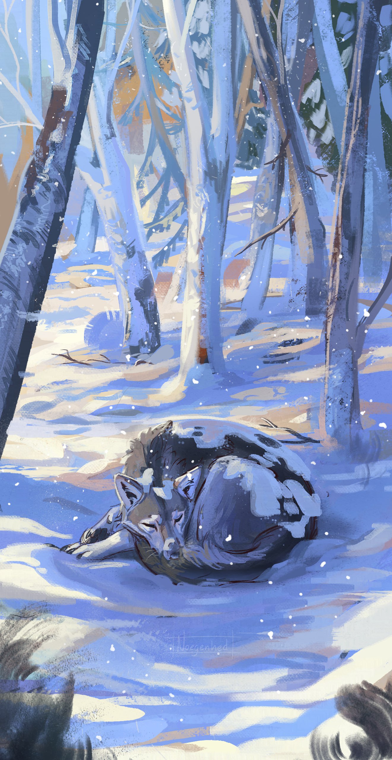 Wolf